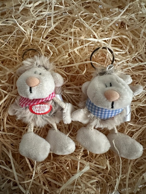 Schlüsselanhänger mit Geräusch